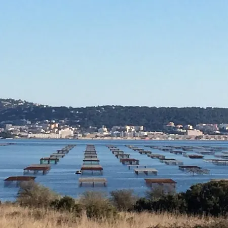 Hotel Le Gambetta 2*