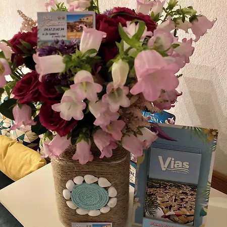 Hotel Le Gambetta Vias