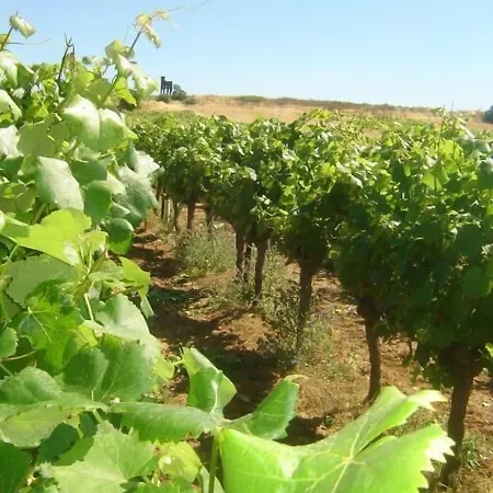 Hotel Le Gambetta 2*