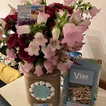 Hotel Le Gambetta Vias
